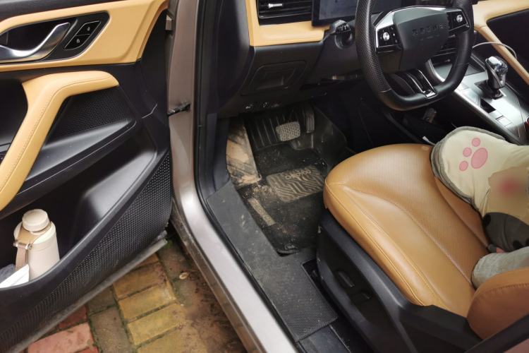 Used Roewe RX5 2023 1.5T Elite Edition Driver Seat
