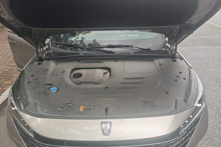 Used Roewe RX5 2023 1.5T Prestige Sliding-Screen Version Engine Bay