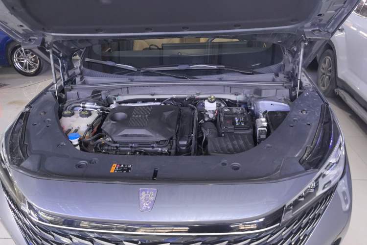 Used Roewe RX5 2023 1.5T Luxury Sliding-Screen Version Engine Bay