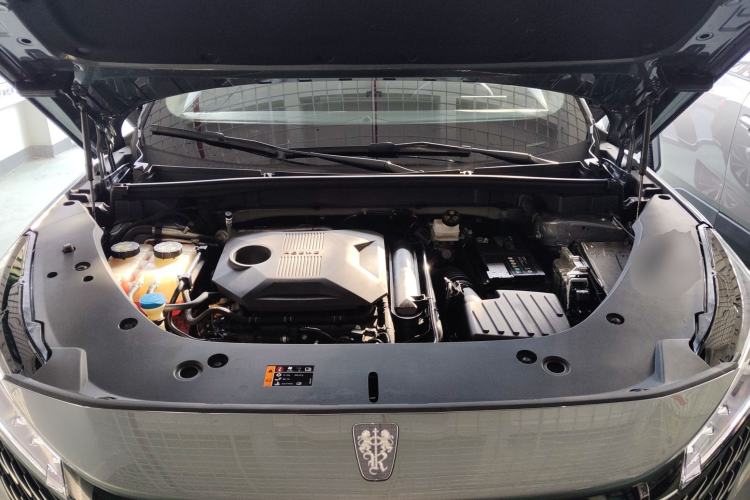 Used Roewe RX5 2023 1.5T Luxury Sliding-Screen Version Engine Bay