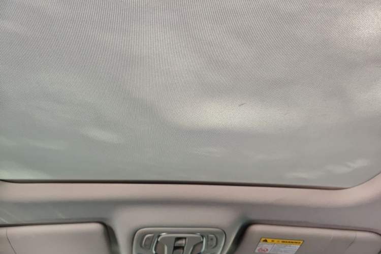 Used Roewe RX5 2023 PLUS 330TGI Automatic Trendsetting Smart Edition Headliner