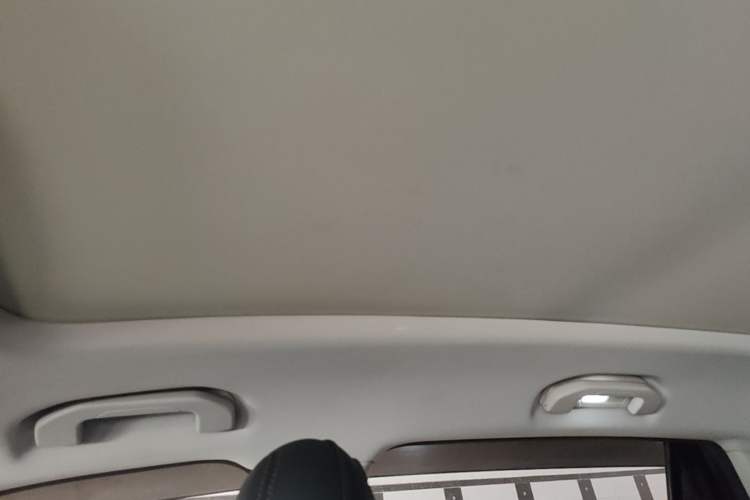 Used Roewe RX5 2023 1.5T Comfort Edition Headliner
