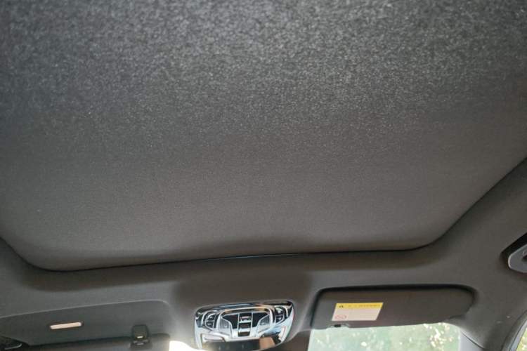 Used Roewe RX5 2023 1.5T Prestige Sliding-Screen Version Headliner