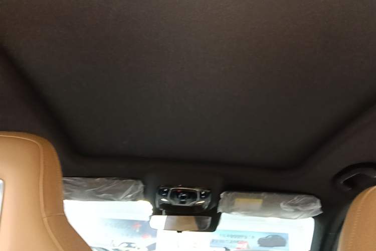 Used Roewe RX5 2023 1.5T Elite Edition Headliner