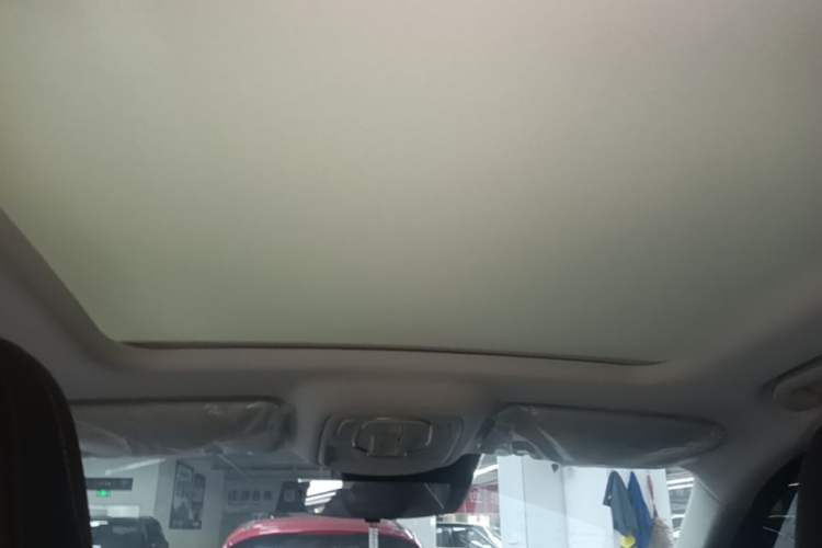 Used Roewe RX5 2023 1.5T Elite Edition Headliner