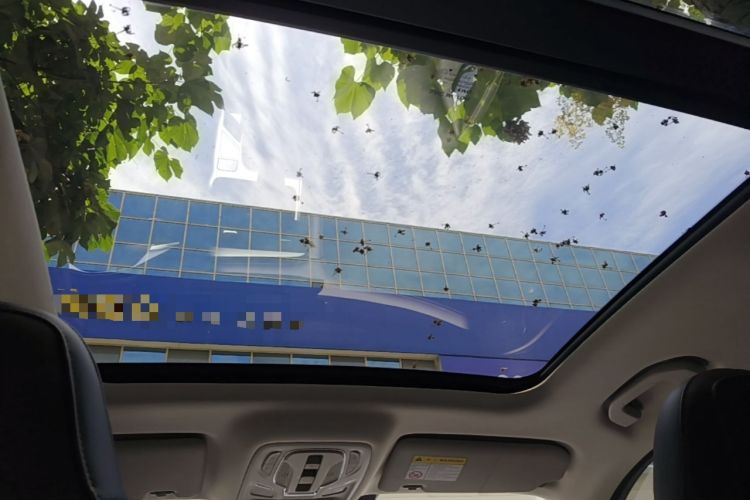 Used Roewe RX5 2023 1.5T Elite Edition Headliner