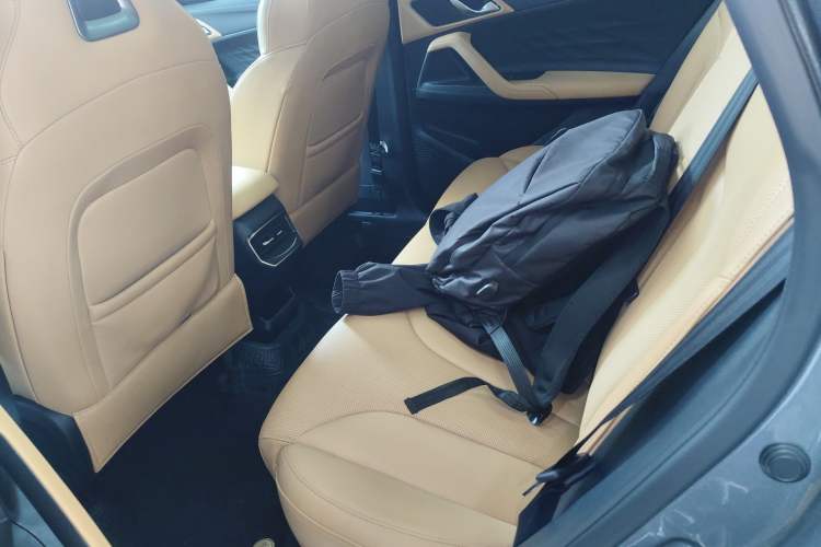 Used Roewe RX5 2023 1.5T Luxury Sliding-Screen Version Left Rear Seat