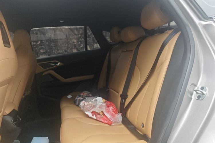 Used Roewe RX5 2023 1.5T Prestige Sliding-Screen Version Left Rear Seat