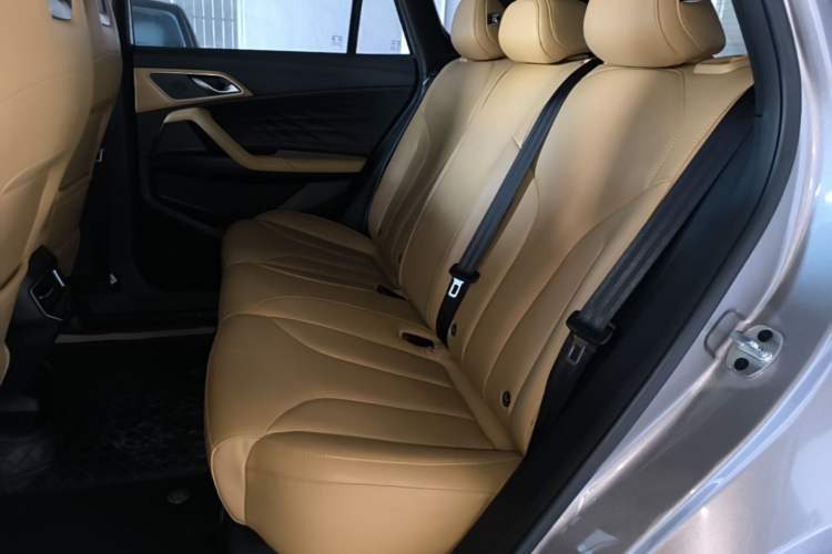 Used Roewe RX5 2023 1.5T Comfort Edition Left Rear Seat