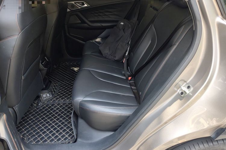 Used Roewe RX5 2023 1.5T Luxury Sliding-Screen Version Left Rear Seat