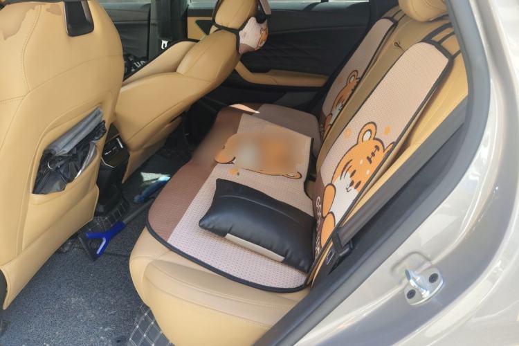 Used Roewe RX5 2023 1.5T Elite Edition Left Rear Seat