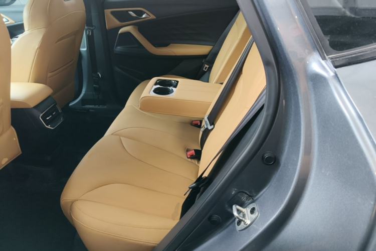 Used Roewe RX5 2023 1.5T Luxury Sliding-Screen Version Left Rear Seat