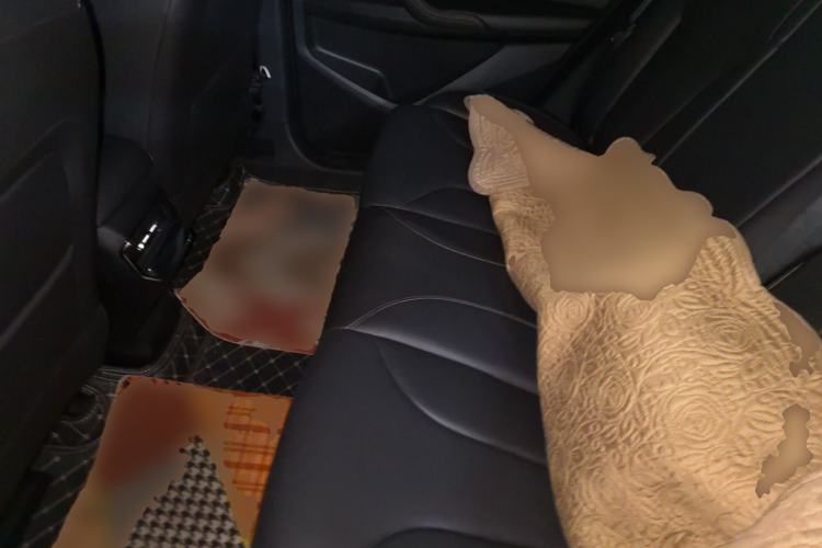 Used Roewe RX5 2023 PLUS 330TGI Automatic Trendsetting Smart Edition Left Rear Seat