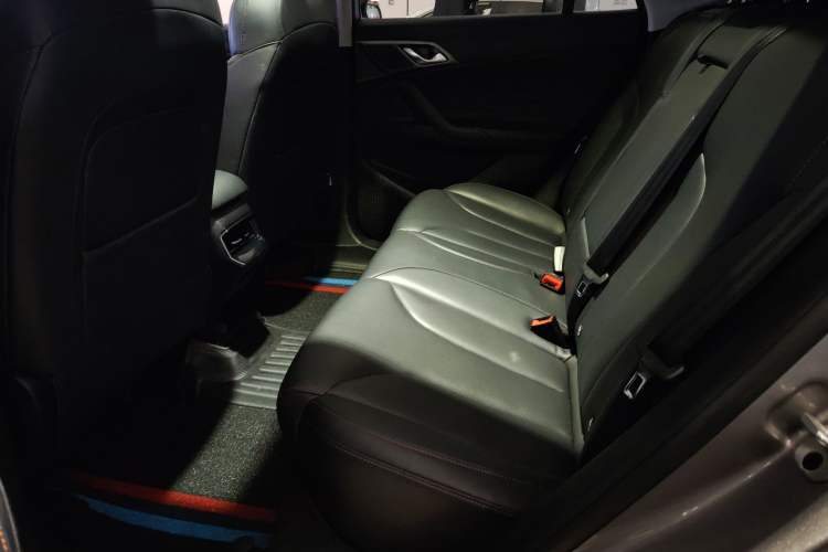Used Roewe RX5 2023 1.5T Luxury Sliding-Screen Version Left Rear Seat