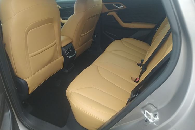 Used Roewe RX5 2023 1.5T Luxury Sliding-Screen Version Left Rear Seat