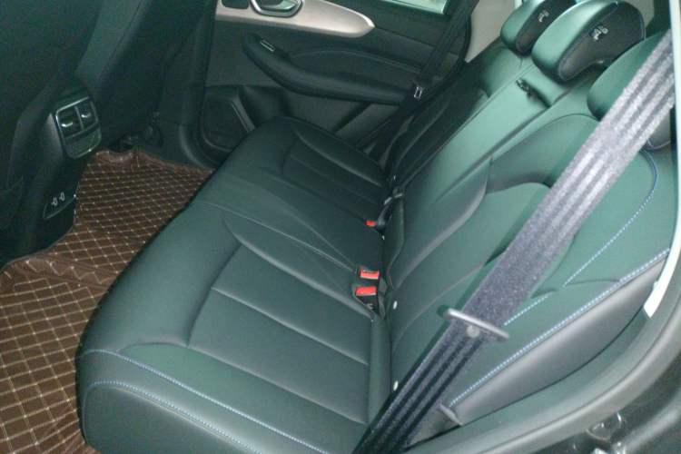 Used Roewe RX5 2023 PLUS 330TGI Automatic Trendsetting Smart Edition Left Rear Seat