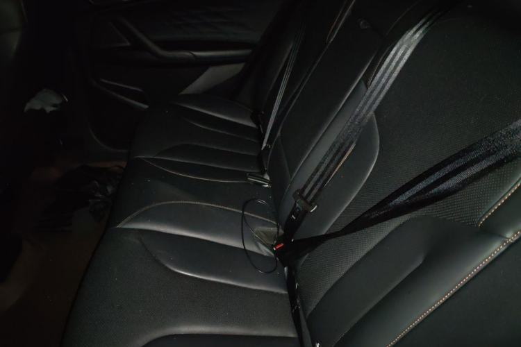 Used Roewe RX5 2023 1.5T Elite Edition Left Rear Seat