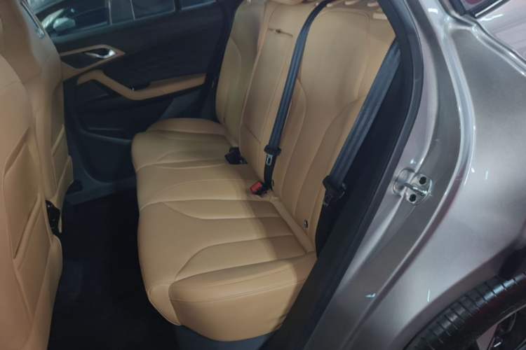 Used Roewe RX5 2023 1.5T Prestige Sliding-Screen Version Left Rear Seat