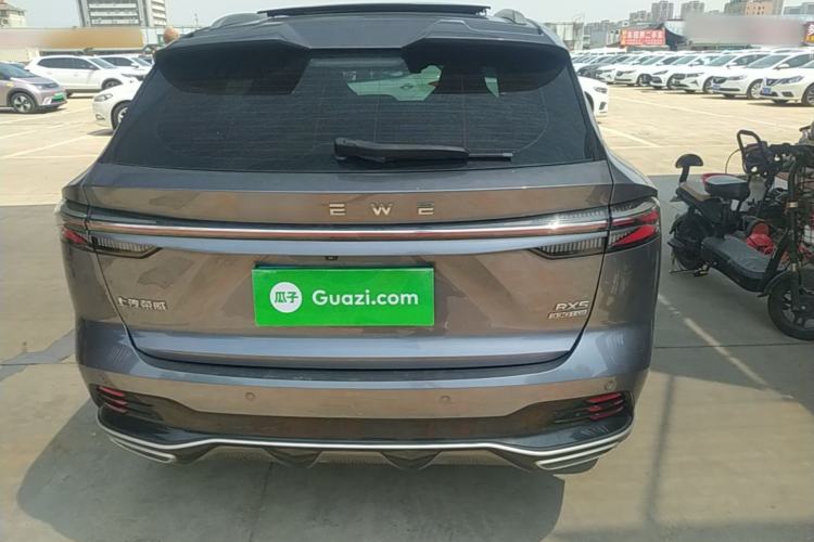 Used Roewe RX5 2023 1.5T Elite Edition Rear
