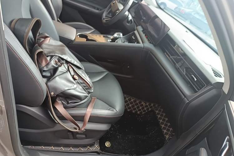 Used Roewe RX5 2023 1.5T Elite Edition Right Front Seat