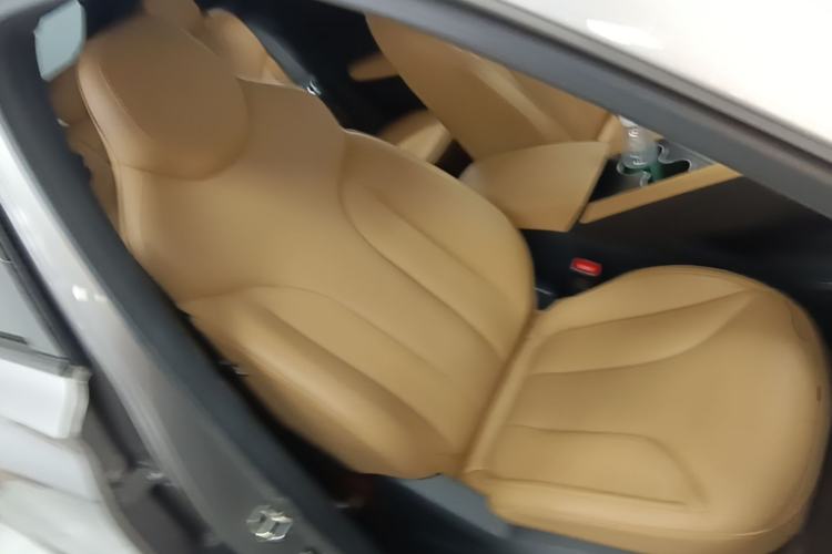 Used Roewe RX5 2023 1.5T Elite Edition Right Front Seat