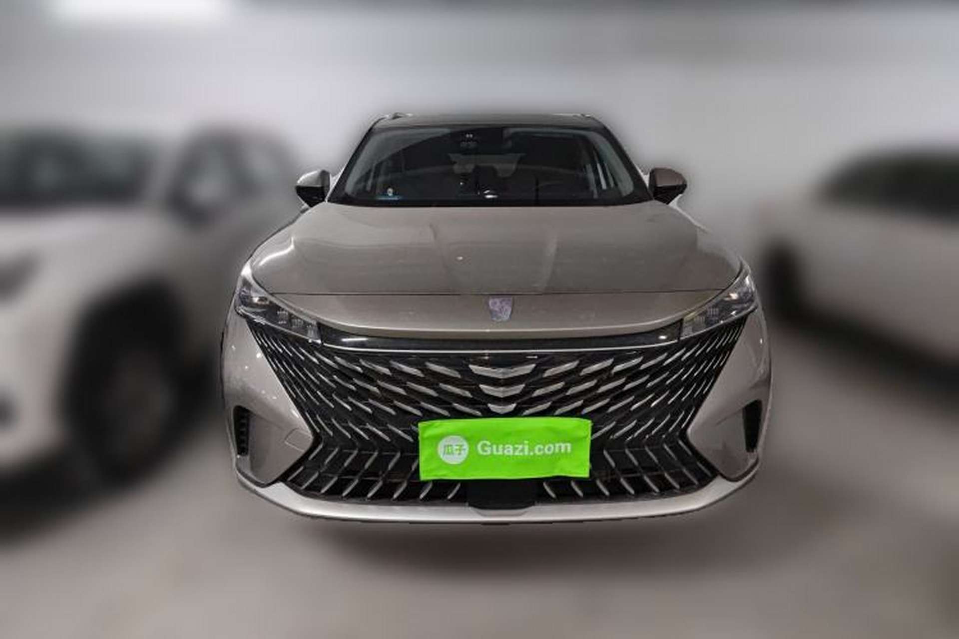 Used Roewe RX5 2023 1.5T Luxury Sliding-Screen Version Exterior 1