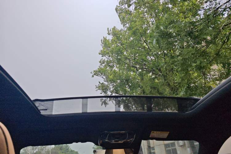Used Roewe RX5 2023 1.5T Elite Edition Headliner