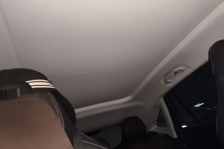 Used Roewe RX5 2023 1.5T Elite Edition Headliner