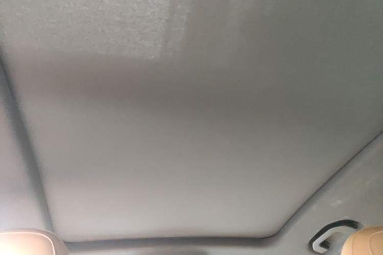 Used Roewe RX5 2023 1.5T Elite Edition Headliner