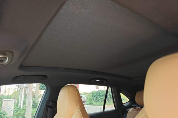 Used Roewe RX5 2023 1.5T Comfort Edition Headliner