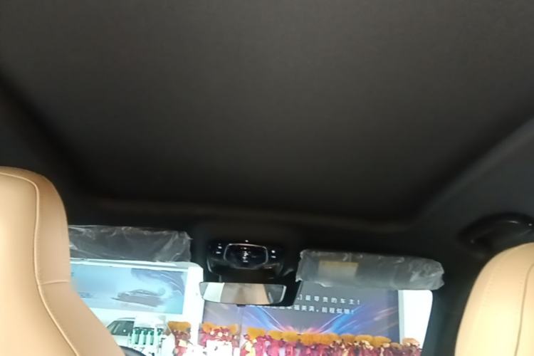 Used Roewe RX5 2023 1.5T Elite Edition Headliner