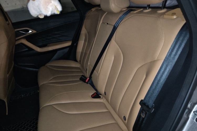 Used Roewe RX5 2023 1.5T Prestige Sliding-Screen Version Left Rear Seat