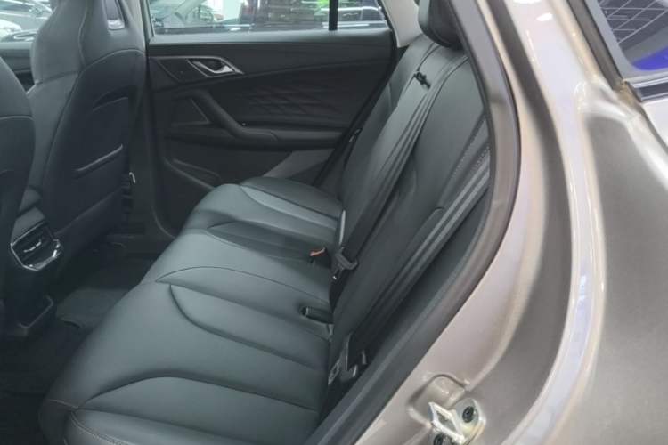 Used Roewe RX5 2023 1.5T Elite Edition Left Rear Seat
