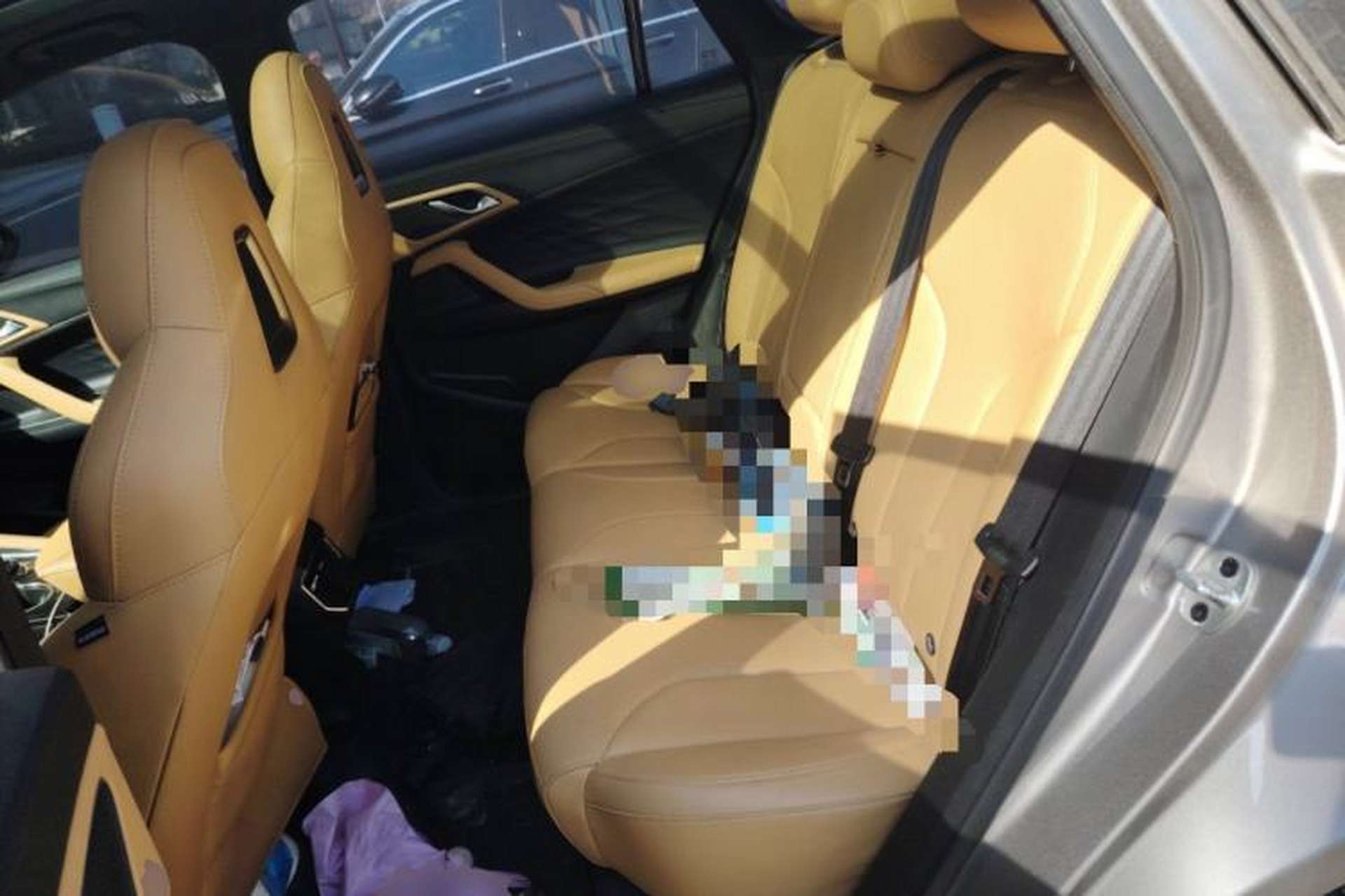 Used Roewe RX5 2023 1.5T Luxury Sliding-Screen Version Left Rear Seat