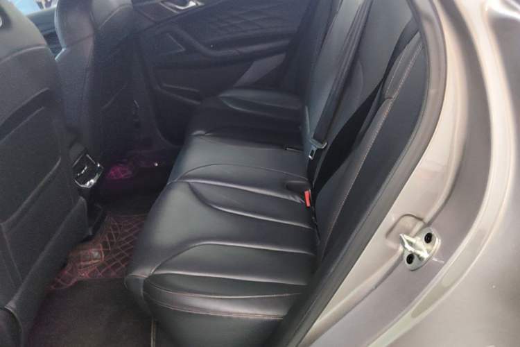 Used Roewe RX5 2023 1.5T Luxury Sliding-Screen Version Left Rear Seat
