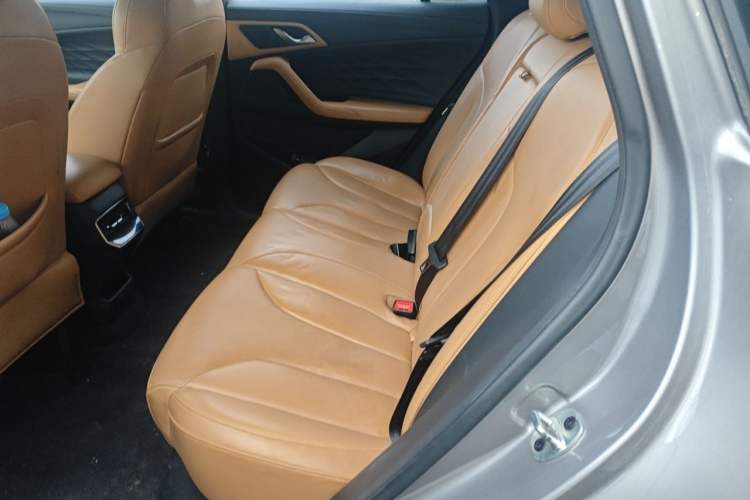 Used Roewe RX5 2023 PLUS 330TGI Automatic Trendsetting Smart Edition Left Rear Seat