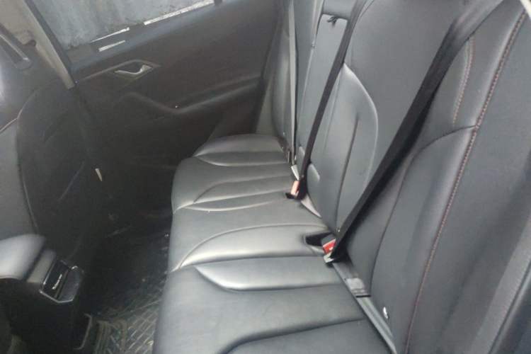 Used Roewe RX5 2023 1.5T Luxury Sliding-Screen Version Left Rear Seat