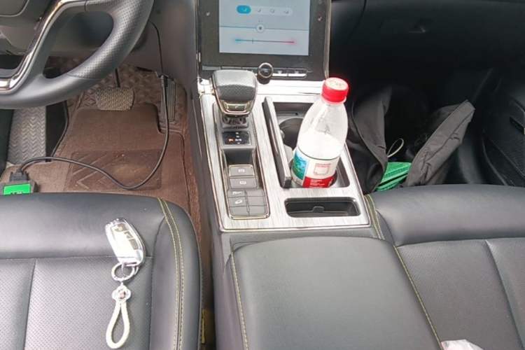 Used Roewe RX5 2023 PLUS 330TGI Automatic Trendsetting Smart Edition Gear Lever