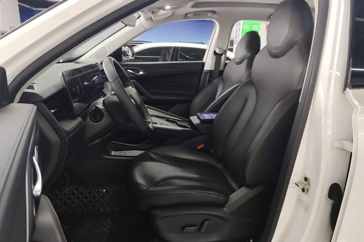 Used Roewe RX5 2023 1.5T Luxury Sliding-Screen Version Left Front Seat