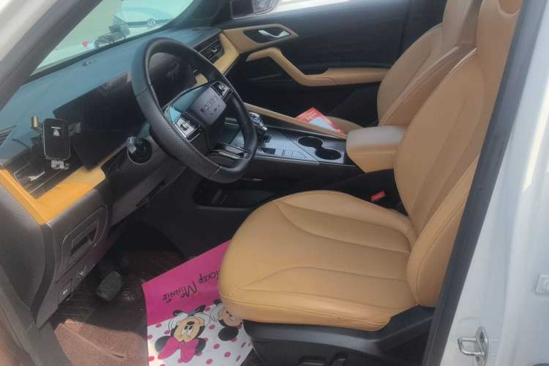 Used Roewe RX5 2023 1.5T Elite Edition Left Front Seat