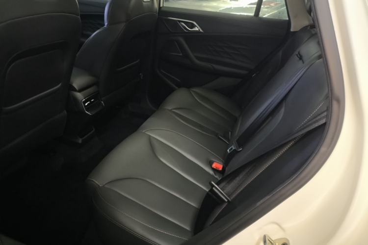 Used Roewe RX5 2023 1.5T Luxury Sliding-Screen Version Left Rear Seat