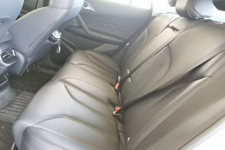 Used Roewe RX5 2023 1.5T Elite Edition Left Rear Seat