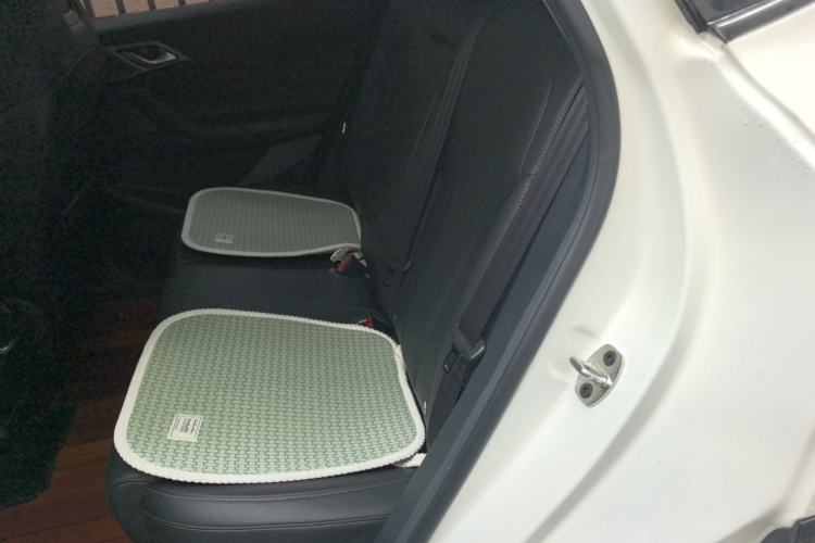 Used Roewe RX5 2023 1.5T Luxury Sliding-Screen Version Left Rear Seat