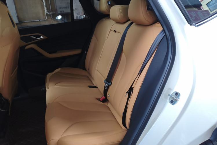 Used Roewe RX5 2023 1.5T Elite Edition Left Rear Seat