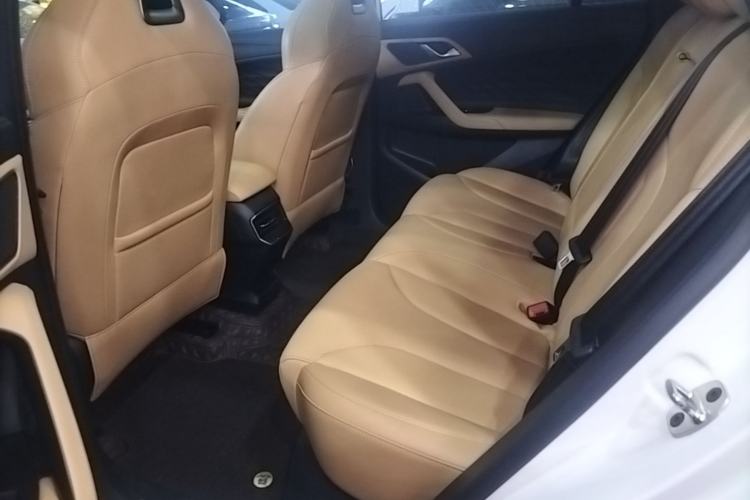 Used Roewe RX5 2023 1.5T Elite Edition Left Rear Seat