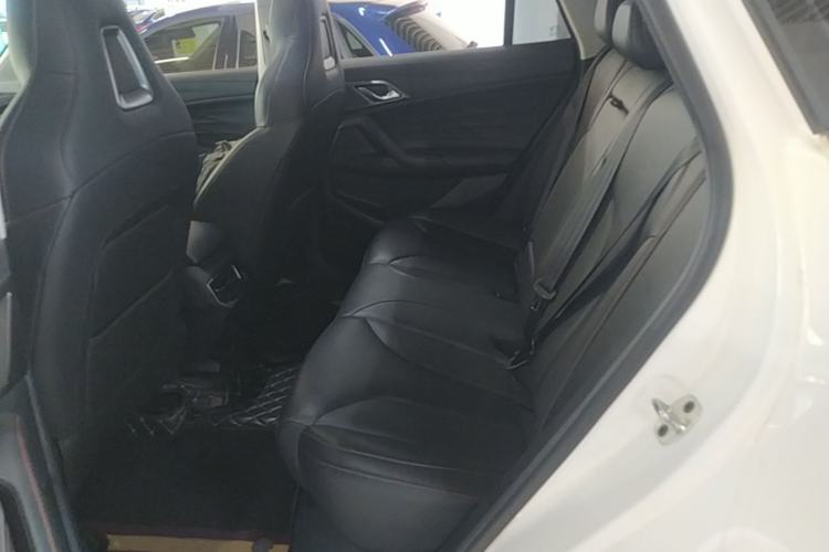 Used Roewe RX5 2023 1.5T Elite Edition Left Rear Seat