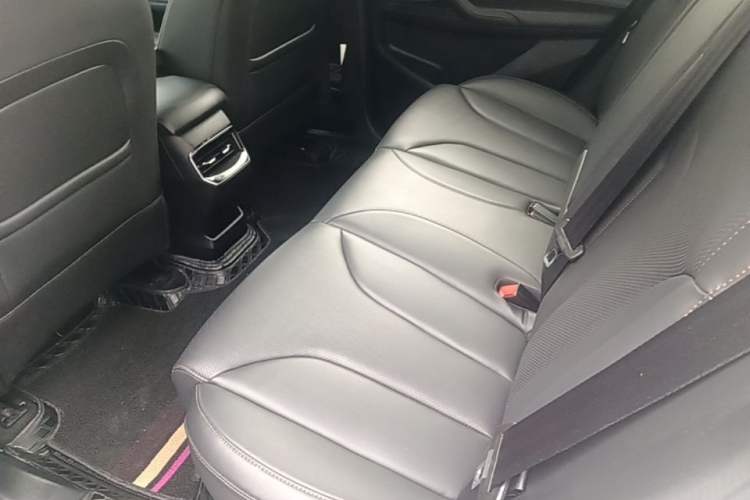 Used Roewe RX5 2023 1.5T Elite Edition Left Rear Seat