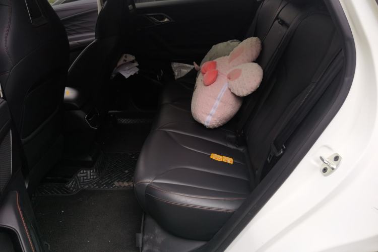 Used Roewe RX5 2023 1.5T Prestige Sliding-Screen Version Left Rear Seat