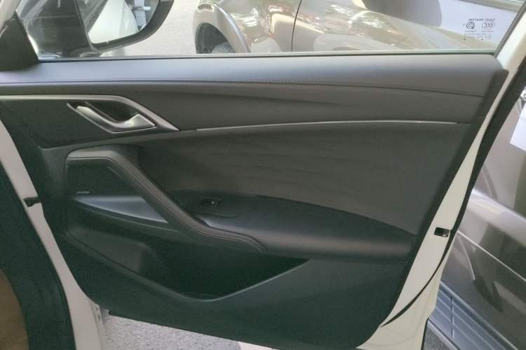 Used Roewe RX5 2023 1.5T Flagship Intelligent Driving Edition Right Front Door Interior