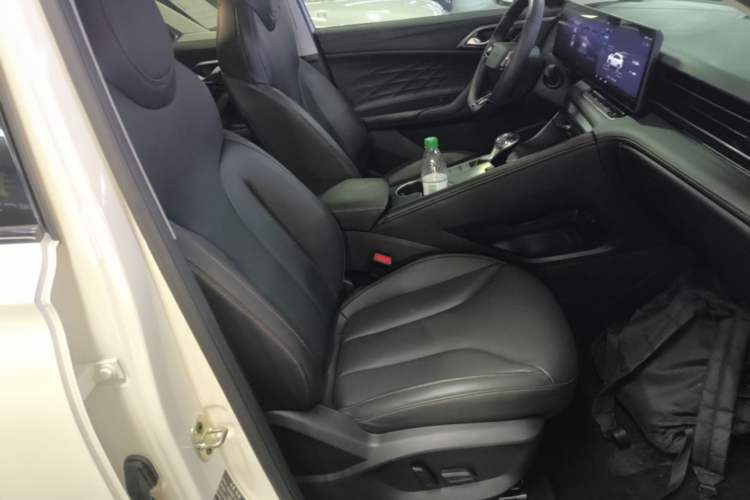 Used Roewe RX5 2023 1.5T Luxury Sliding-Screen Version Right Front Seat